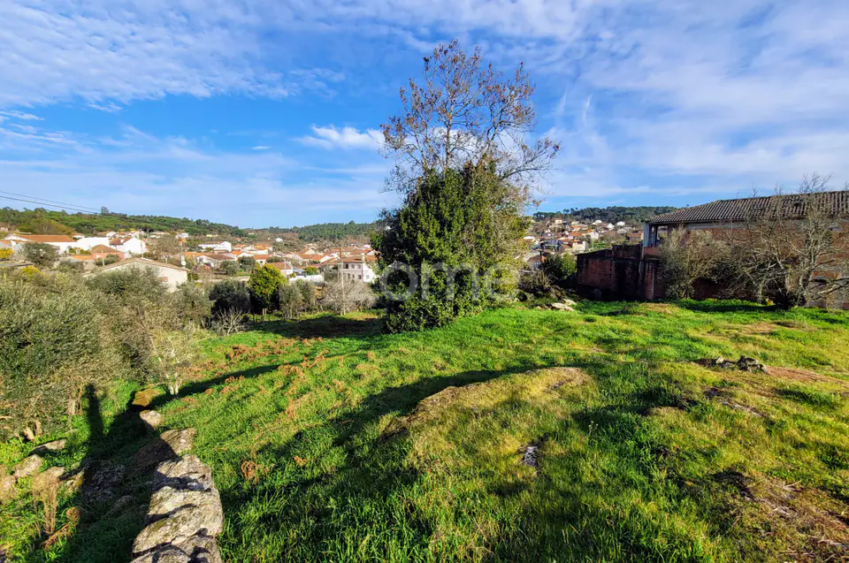 Terreno Urbano em Passos de Silgueiros — imagem 9