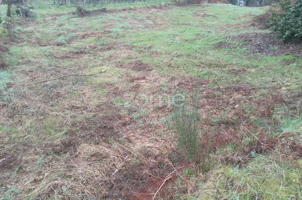 Terreno Urbano em Passos de Silgueiros — imagem 17