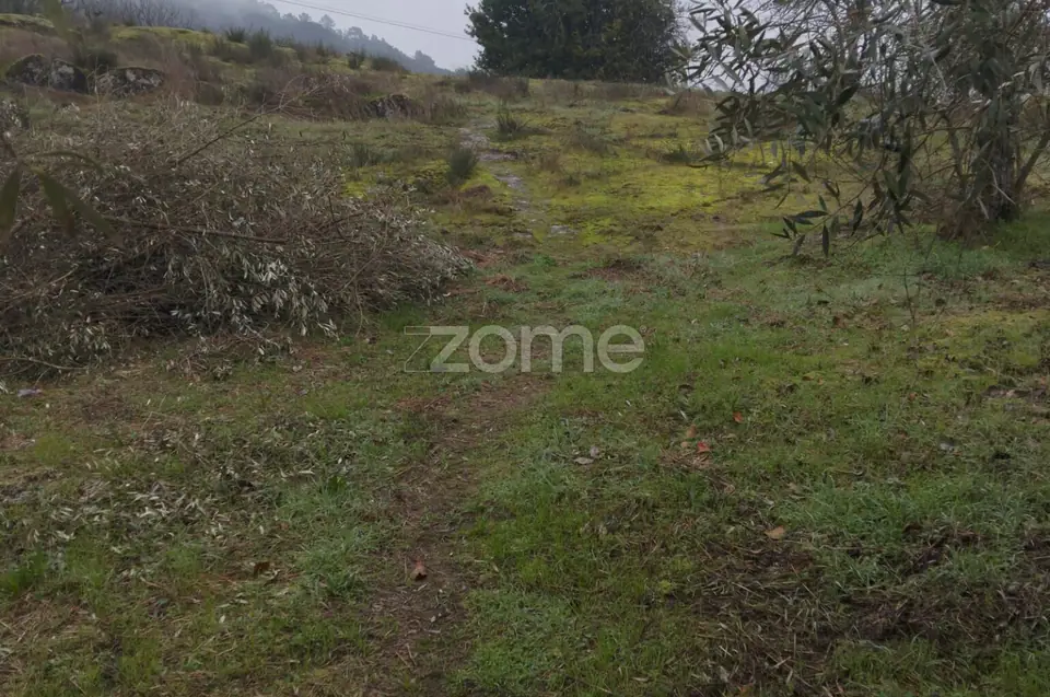Terreno Urbano em Passos de Silgueiros — imagem 28