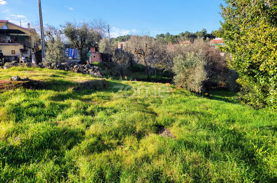Terreno Urbano em Passos de Silgueiros — imagem 12
