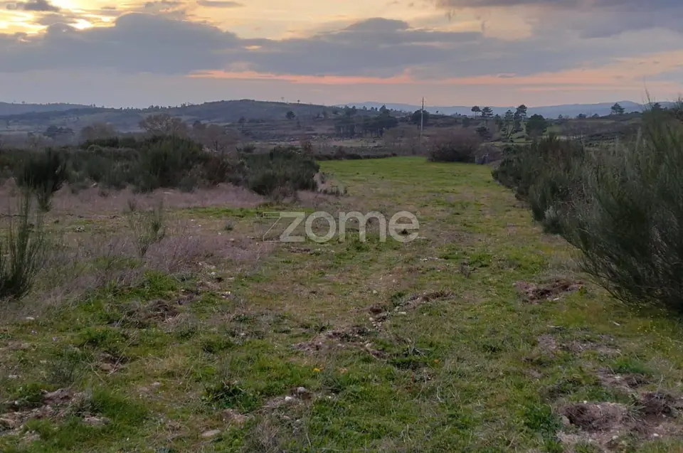 Terreno Rústico/Urbanizável em Cortiçô da Serra — imagem 9