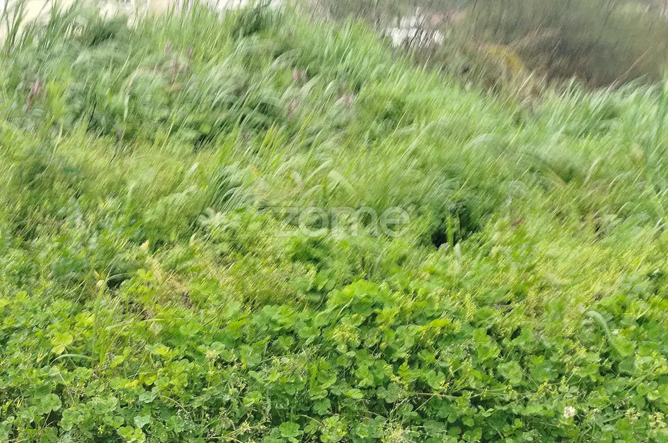 Terreno Urbanizável – O Local Perfeito para Construir a Sua Moradia — imagem 28