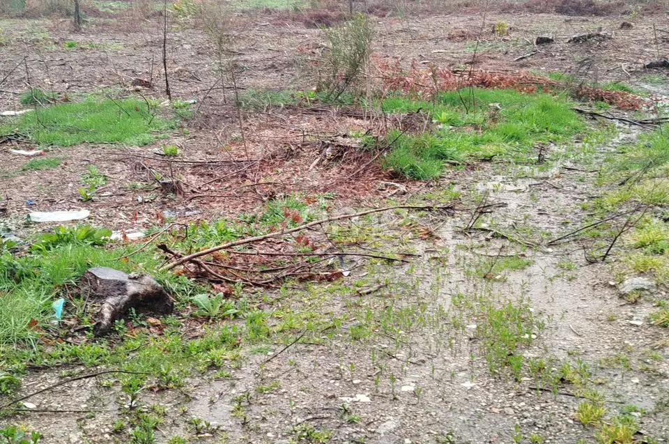 Terreno Urbanizável – O Local Perfeito para Construir a Sua Moradia — imagem 6