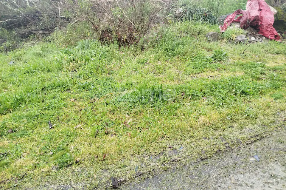 Terreno Urbanizável – O Local Perfeito para Construir a Sua Moradia — imagem 7