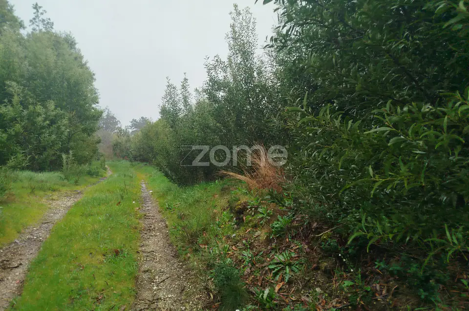 Terreno Urbanizável – O Local Perfeito para Construir a Sua Moradia — imagem 21