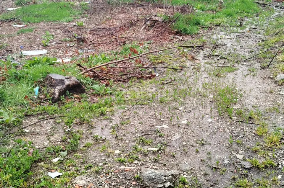 Terreno Urbanizável – O Local Perfeito para Construir a Sua Moradia — imagem 1