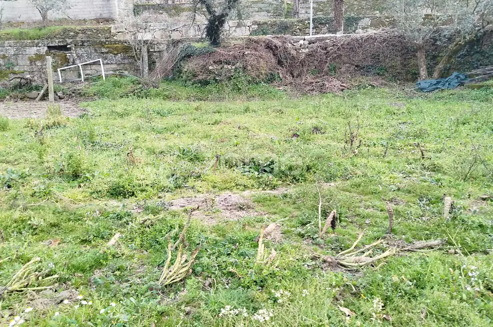 Terreno para Construção – Oportunidade Única, Chãs Tavares — imagem 6