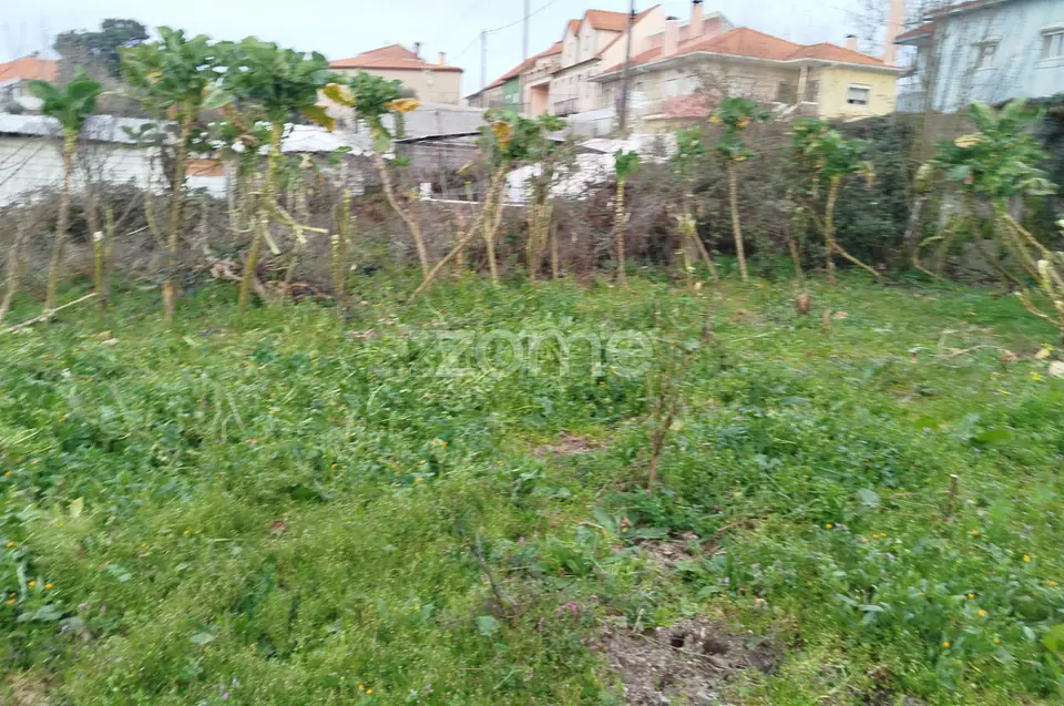 Terreno para Construção – Oportunidade Única, Chãs Tavares — imagem 10