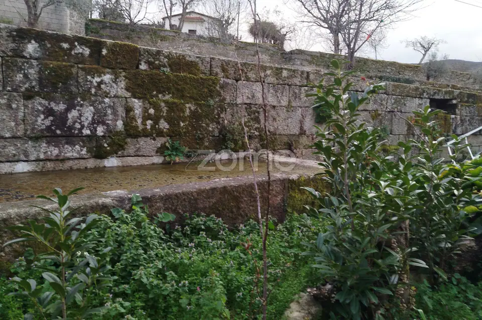Terreno para Construção – Oportunidade Única, Chãs Tavares — imagem 8