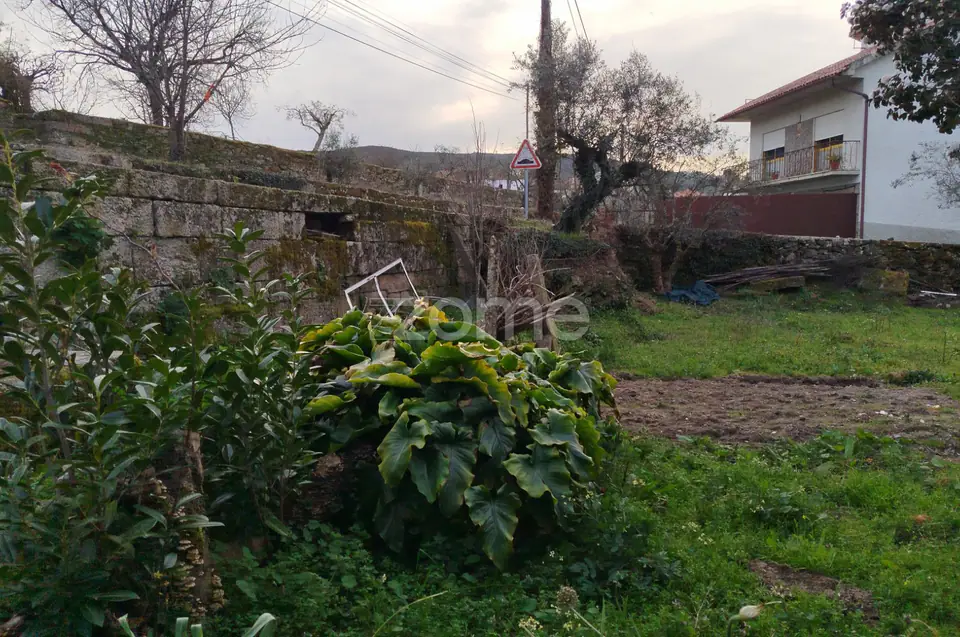 Terreno para Construção – Oportunidade Única, Chãs Tavares — imagem 16