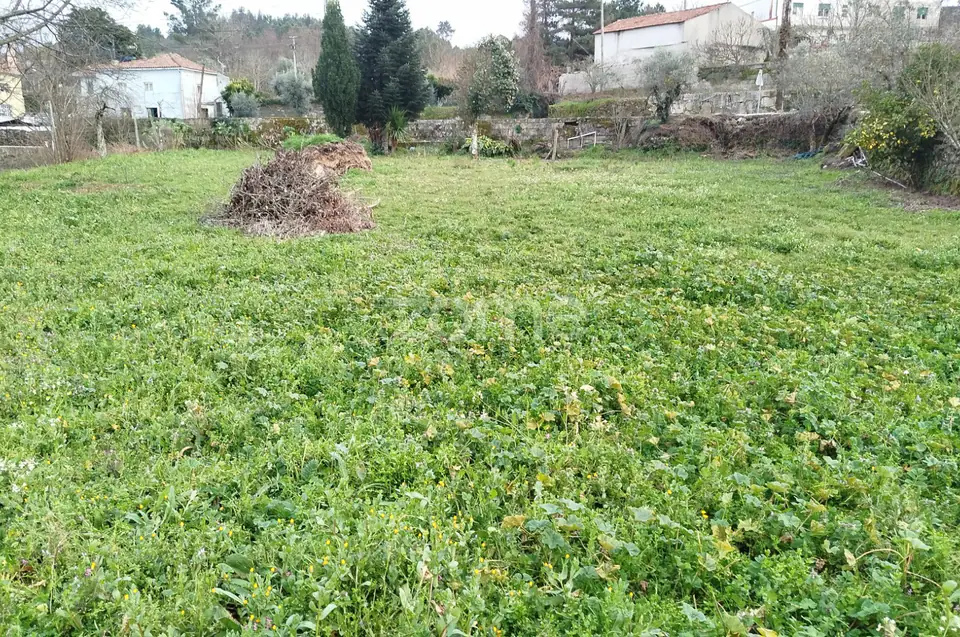 Terreno para Construção – Oportunidade Única, Chãs Tavares — imagem 7