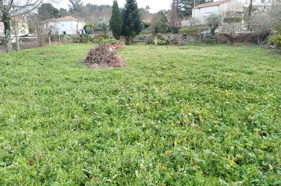 Terreno para Construção – Oportunidade Única, Chãs Tavares — imagem 18
