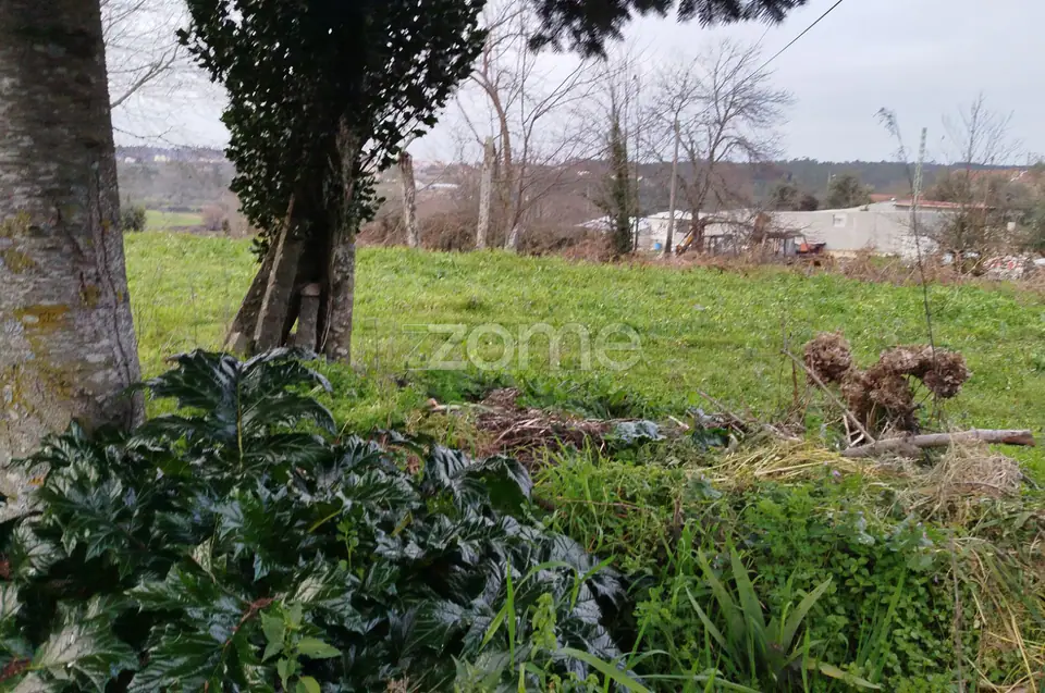 Terreno para Construção – Oportunidade Única, Chãs Tavares — imagem 12