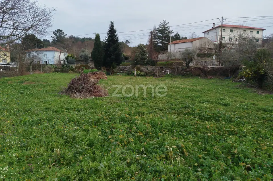 Terreno para Construção – Oportunidade Única, Chãs Tavares — imagem 3