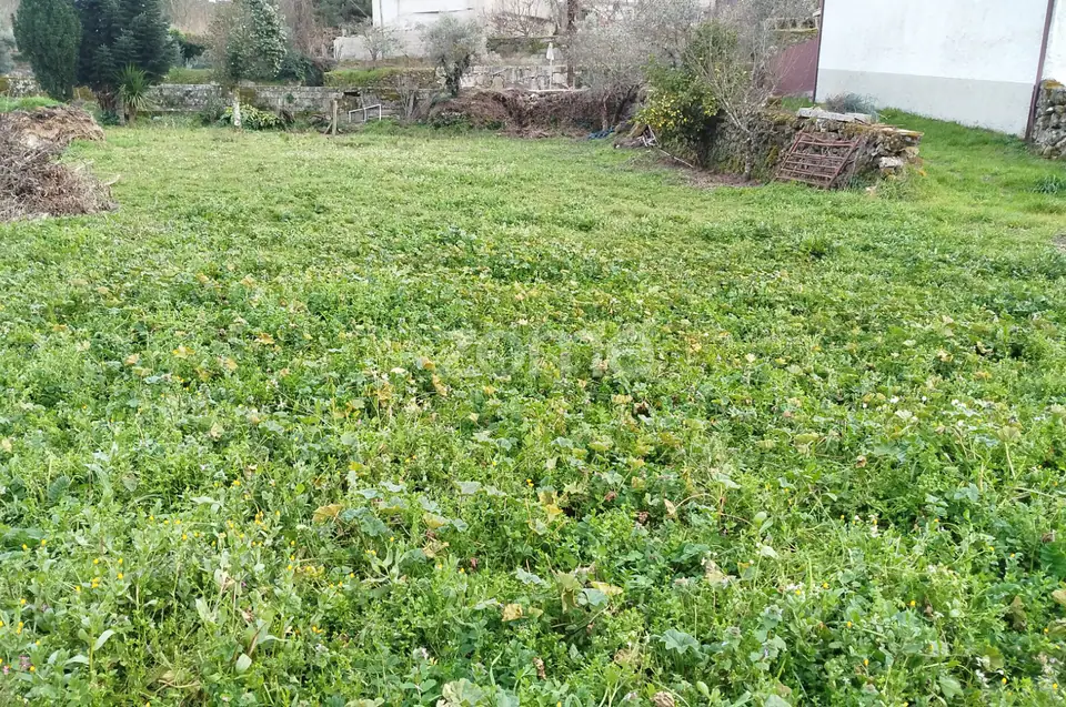 Terreno para Construção – Oportunidade Única, Chãs Tavares — imagem 19