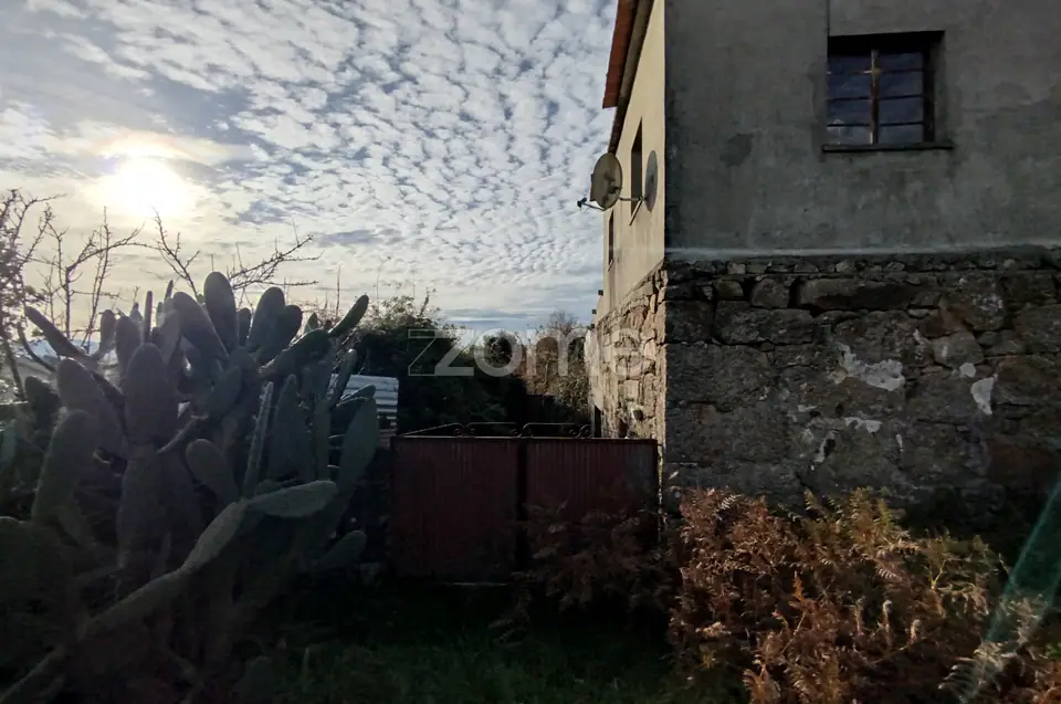 🌿QUINTA DARDÃ EM DOIDE SÃO PEDRO DO SUL — imagem 89