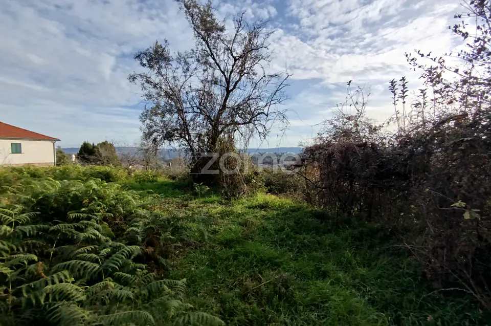 🌿QUINTA DARDÃ EM DOIDE SÃO PEDRO DO SUL — imagem 66