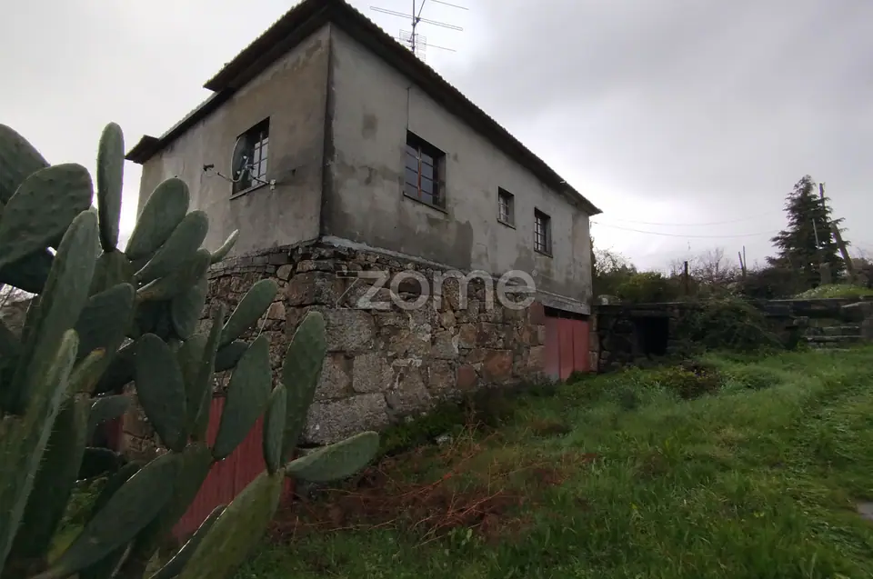 🌿QUINTA DARDÃ EM DOIDE SÃO PEDRO DO SUL — imagem 23