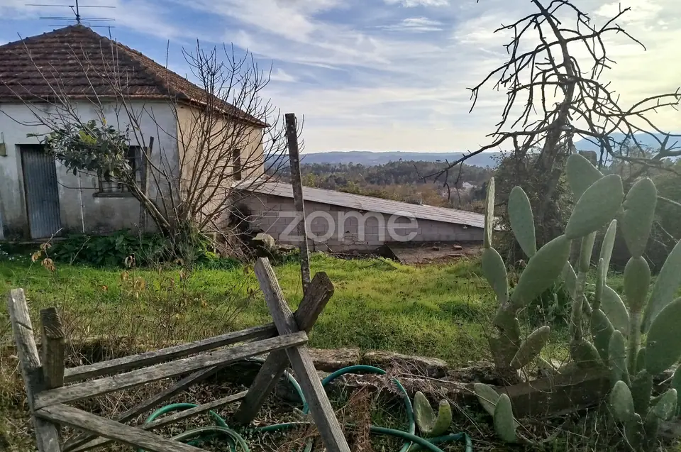 🌿QUINTA DARDÃ EM DOIDE SÃO PEDRO DO SUL — imagem 104