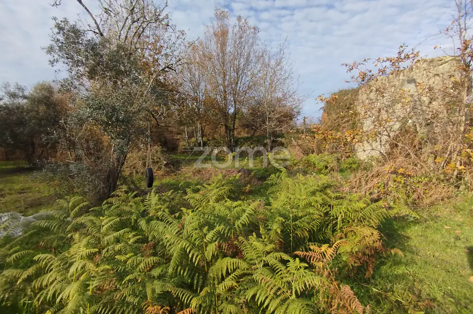 🌿QUINTA DARDÃ EM DOIDE SÃO PEDRO DO SUL — imagem 72