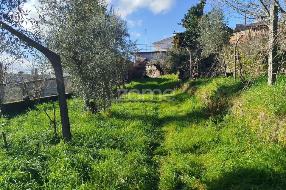 🌿QUINTA DARDÃ EM DOIDE SÃO PEDRO DO SUL — imagem 1