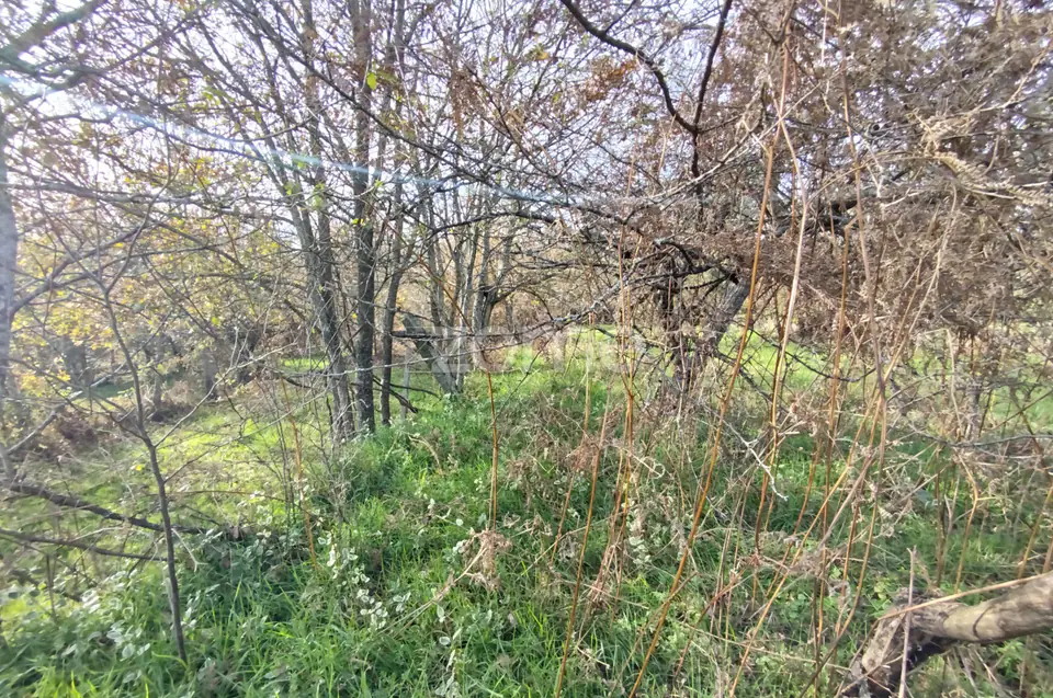 🌿QUINTA DARDÃ EM DOIDE SÃO PEDRO DO SUL — imagem 95