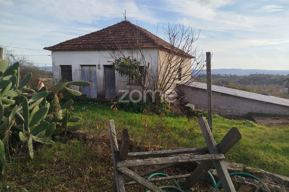 🌿QUINTA DARDÃ EM DOIDE SÃO PEDRO DO SUL — imagem 103