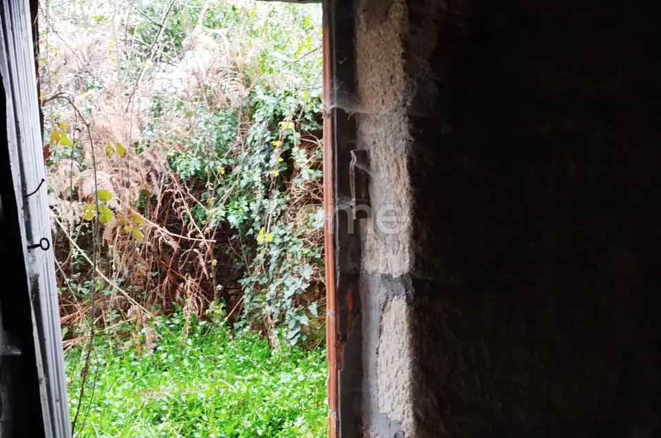 🌿QUINTA DARDÃ EM DOIDE SÃO PEDRO DO SUL — imagem 2