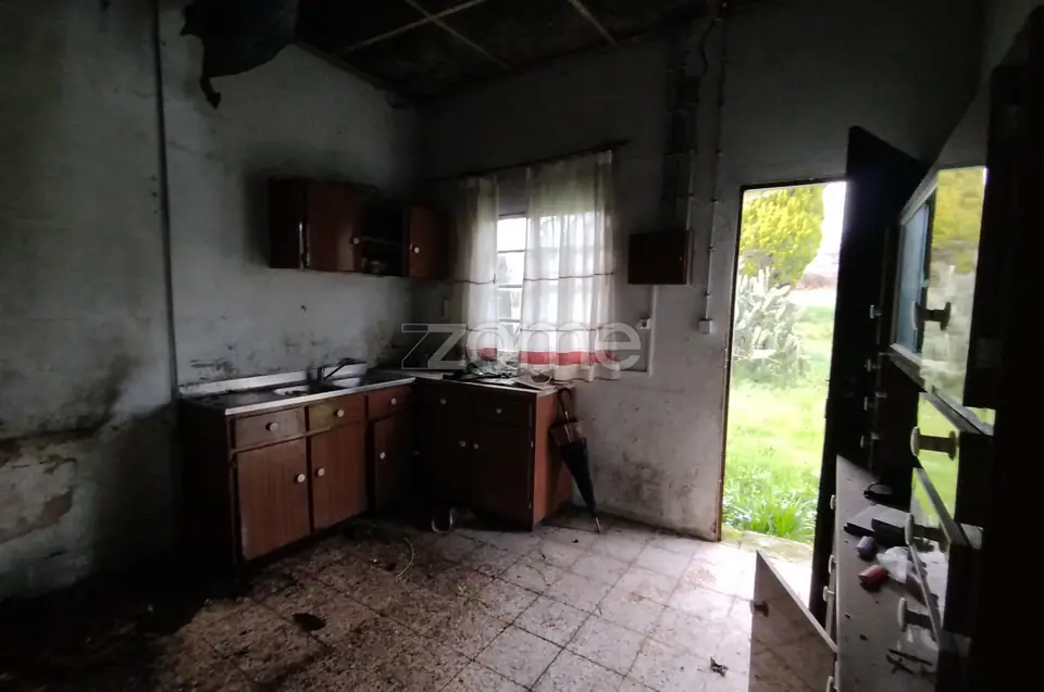 🌿QUINTA DARDÃ EM DOIDE SÃO PEDRO DO SUL — imagem 45