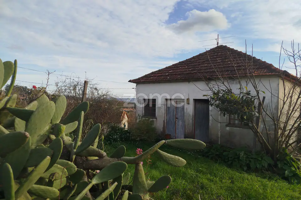 🌿QUINTA DARDÃ EM DOIDE SÃO PEDRO DO SUL — imagem 101