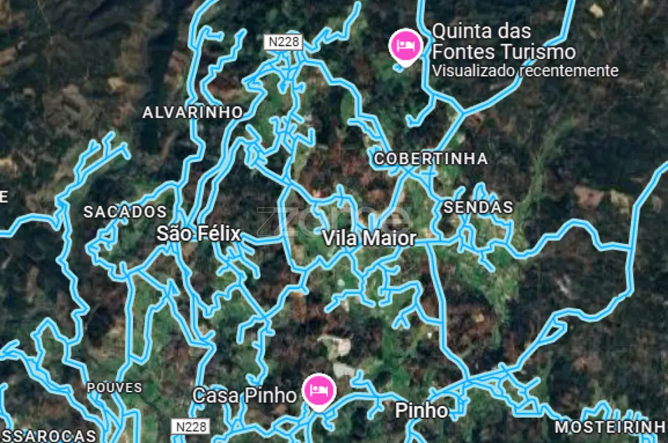 🌿QUINTA DARDÃ EM DOIDE SÃO PEDRO DO SUL — imagem 107