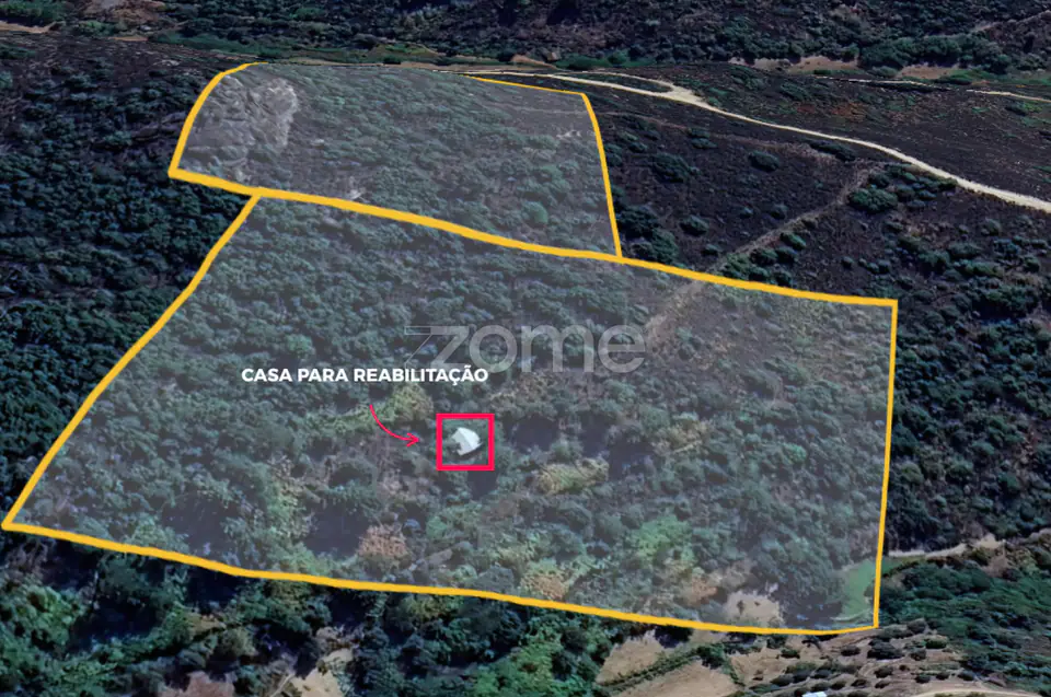 Quinta de ~3ha com duas moradias para reconstrução total — imagem 2