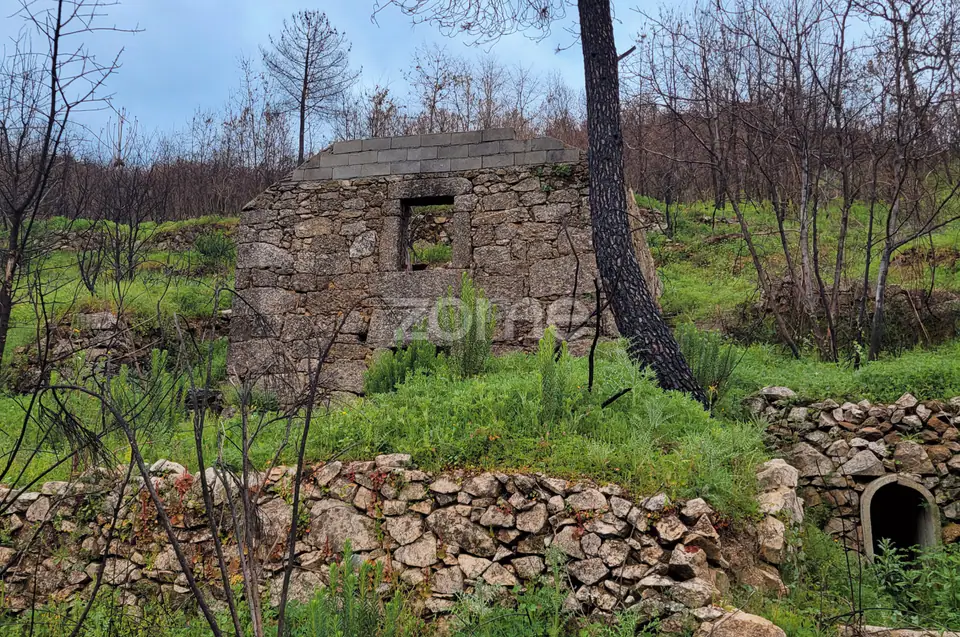 Quinta de ~3ha com duas moradias para reconstrução total — imagem 1