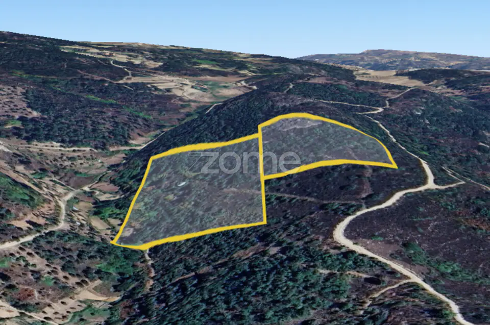 Quinta de ~3ha com duas moradias para reconstrução total — imagem 3