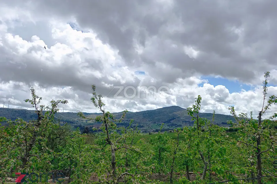 🏡 Moradia T3 em Paredes da Beira – Tranquilidade, Natureza e Excelent — imagem 17