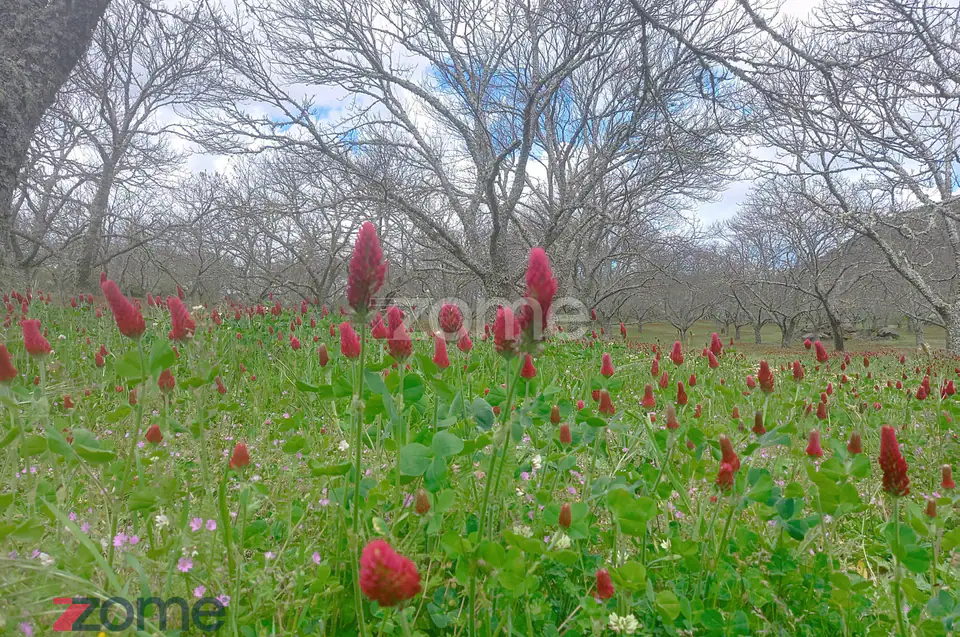 🏡 Moradia T3 em Paredes da Beira – Tranquilidade, Natureza e Excelent — imagem 18