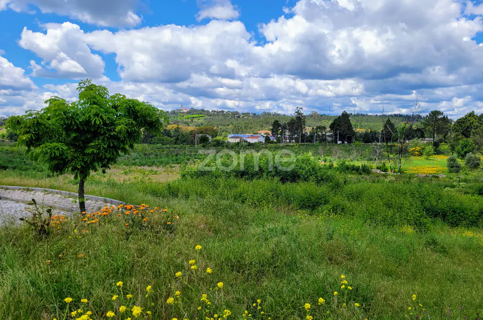 Terreno Urbano com 1220 m² em Almeidinha, Mangualde — imagem 6