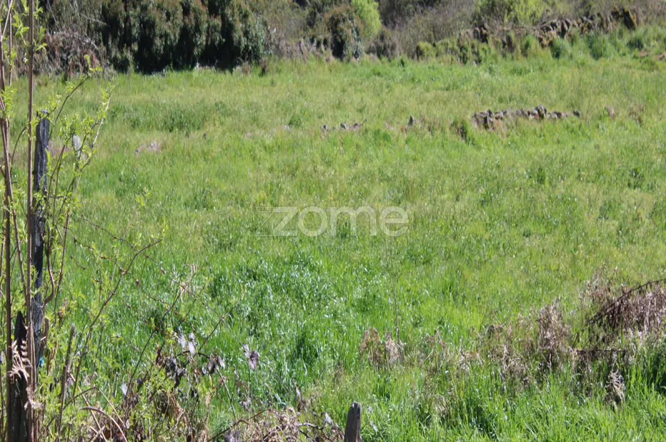 Terreno Único à Venda no Coração do Vale do Demo – Moimenta da Beira — imagem 10