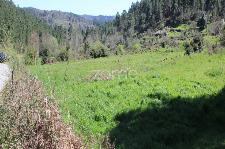 Terreno Único à Venda no Coração do Vale do Demo – Moimenta da Beira — imagem 8