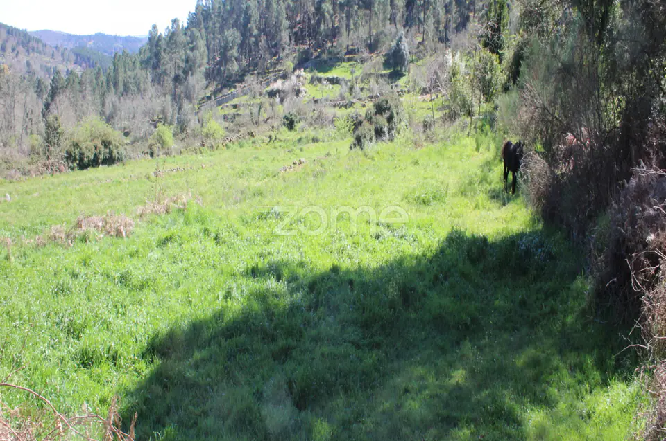 Terreno Único à Venda no Coração do Vale do Demo – Moimenta da Beira — imagem 7