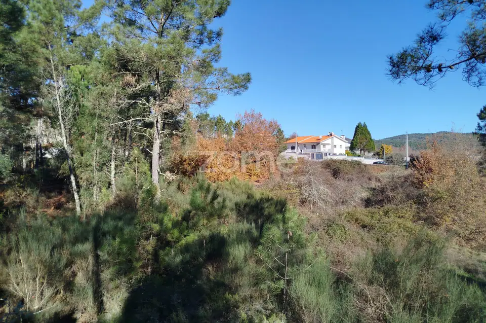 Terreno Único à Venda no Coração do Vale do Demo – Moimenta da Beira — imagem 5