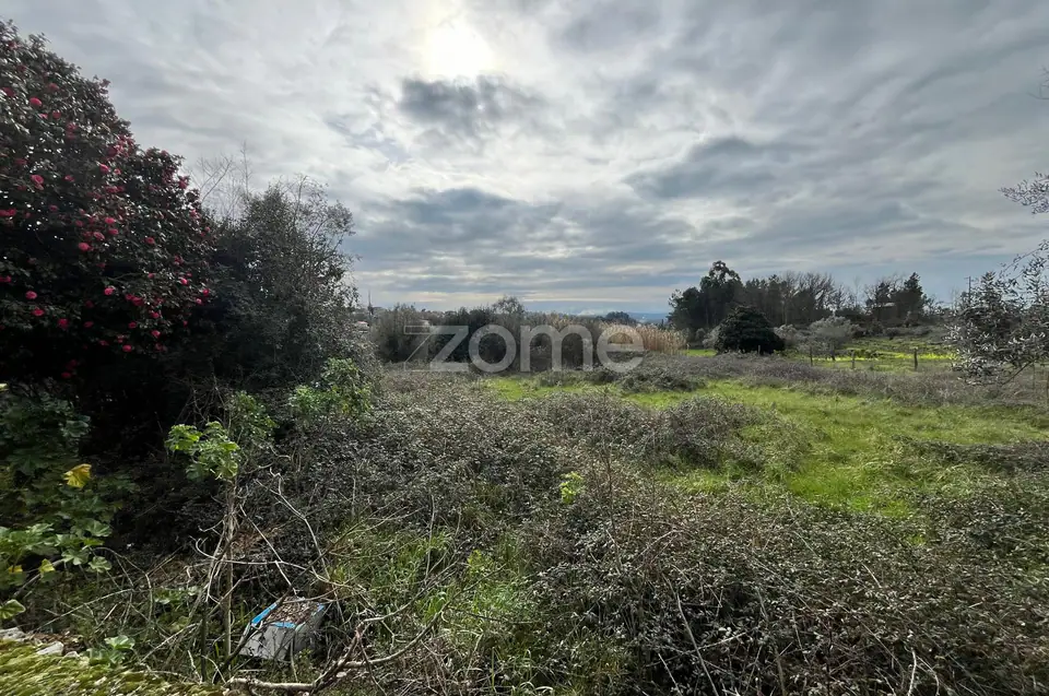 Terrenos Urbanizáveis em Serviçaria, Rio de Moinhos, Satão, Viseu. — imagem 5