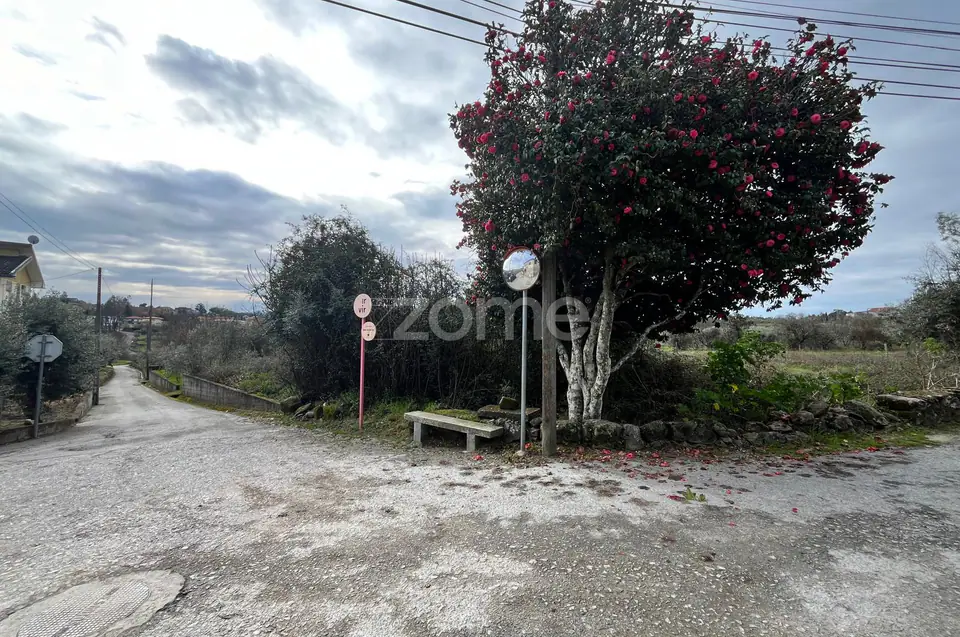 Terrenos Urbanizáveis em Serviçaria, Rio de Moinhos, Satão, Viseu. — imagem 7