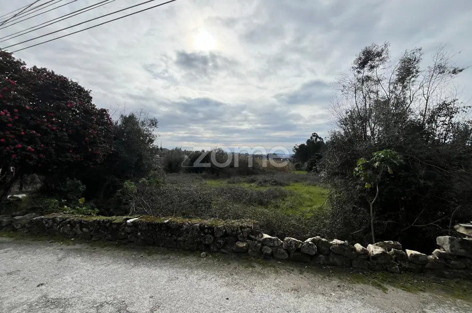 Terrenos Urbanizáveis em Serviçaria, Rio de Moinhos, Satão, Viseu. — imagem 15