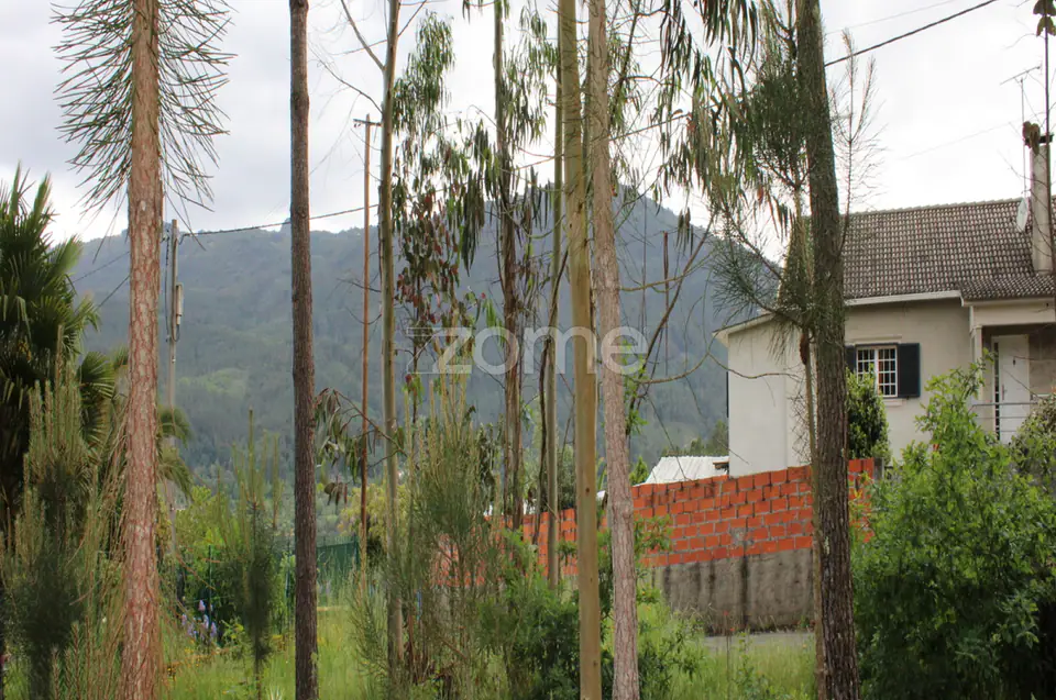 Lote com 45% de Implantação — imagem 14