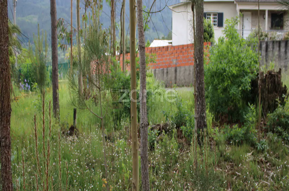 Lote com 45% de Implantação — imagem 15