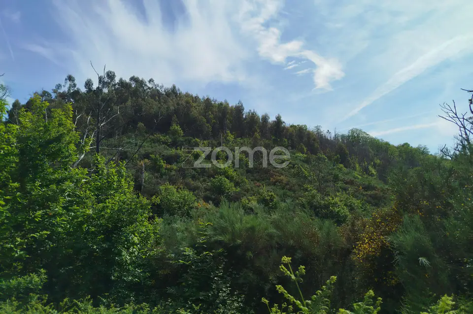 Terreno para venda na Serra da Estrela com ruína para reabilitar — imagem 2