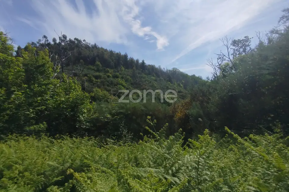 Terreno para venda na Serra da Estrela com ruína para reabilitar — imagem 23