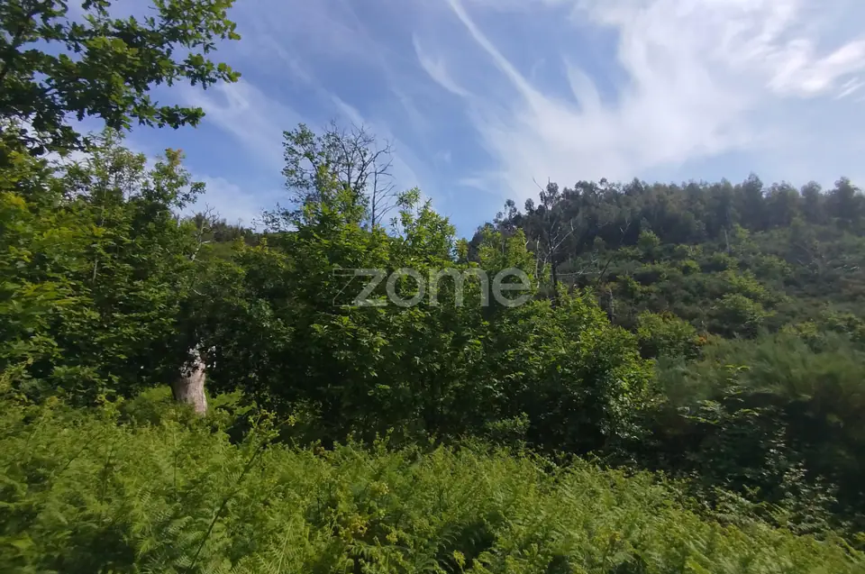 Terreno para venda na Serra da Estrela com ruína para reabilitar — imagem 26