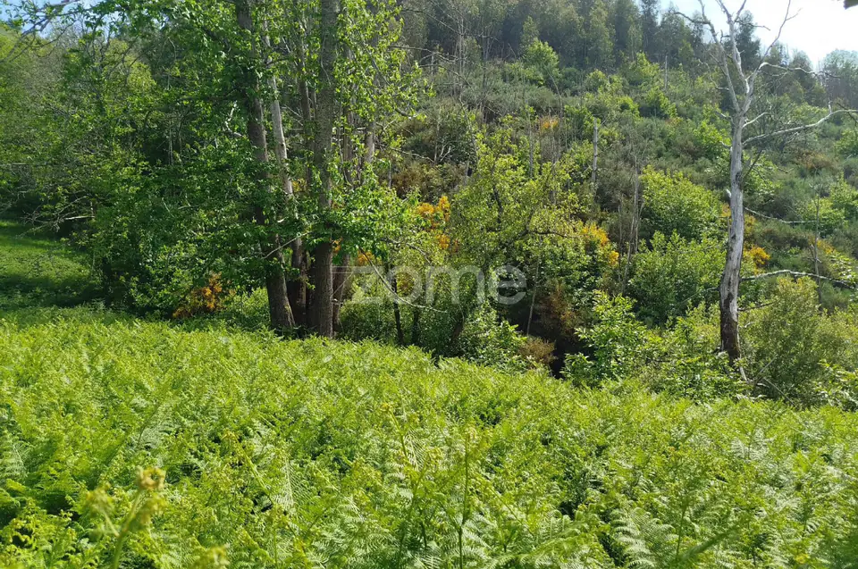 Terreno para venda na Serra da Estrela com ruína para reabilitar — imagem 28